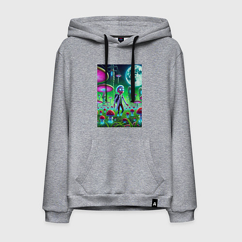 Мужская толстовка-худи Морти потерял Рика на мухоморной планете / Меланж – фото 1