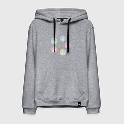 Толстовка-худи хлопковая мужская Ящерица спок, цвет: меланж