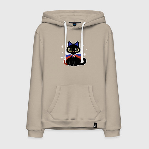 Мужская толстовка-худи Кот с флагом / Миндальный – фото 1