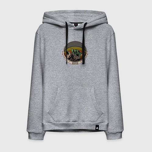 Мужская толстовка-худи Master Yoda / Меланж – фото 1