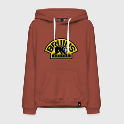 Толстовка-худи хлопковая мужская HC Boston Bruins Label, цвет: кирпичный