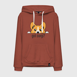 Толстовка-худи хлопковая мужская Got Corgi, цвет: кирпичный