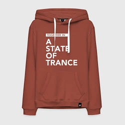 Толстовка-худи хлопковая мужская Together in A State of Trance, цвет: кирпичный