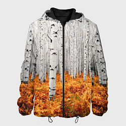 Куртка с капюшоном мужская Березовая роща, цвет: 3D-черный