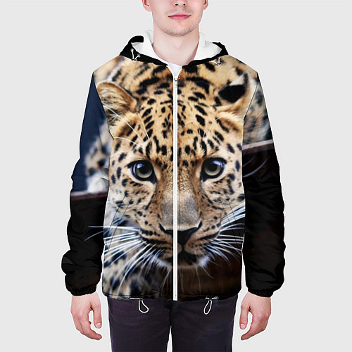 Мужская куртка Дикая кошка / 3D-Белый – фото 3