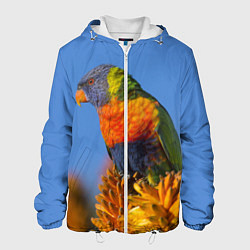 Куртка с капюшоном мужская Попугай на солнце, цвет: 3D-белый
