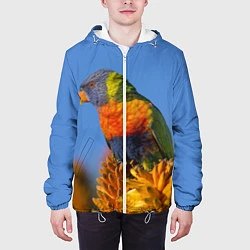 Куртка с капюшоном мужская Попугай на солнце, цвет: 3D-белый — фото 2