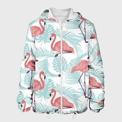 Мужская куртка Узор фламинго и тропических растений