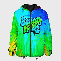 Куртка с капюшоном мужская Stray Kids, цвет: 3D-черный