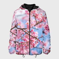 Куртка с капюшоном мужская Ветки Сакуры, цвет: 3D-черный