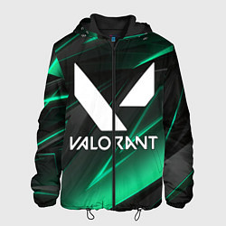 Куртка с капюшоном мужская VALORANT, цвет: 3D-черный