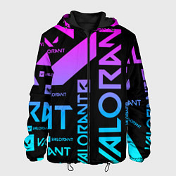 Куртка с капюшоном мужская Valorant, цвет: 3D-черный