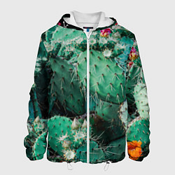 Мужская куртка Кактусы с цветами реализм