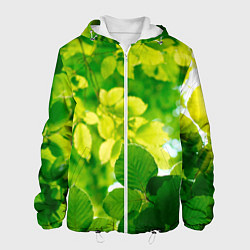 Куртка с капюшоном мужская Листья, цвет: 3D-белый