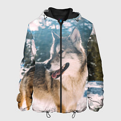Куртка с капюшоном мужская Волк и снег, цвет: 3D-черный