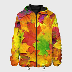 Мужская куртка Осенние листья