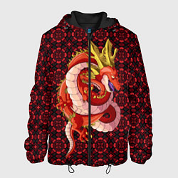 Куртка с капюшоном мужская Шар дракона, цвет: 3D-черный