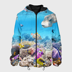 Куртка с капюшоном мужская Морской мир, цвет: 3D-черный
