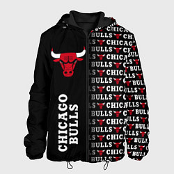 Куртка с капюшоном мужская CHICAGO BULLS 7, цвет: 3D-черный