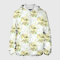 Куртка с капюшоном мужская Маленькие птички, цвет: 3D-белый
