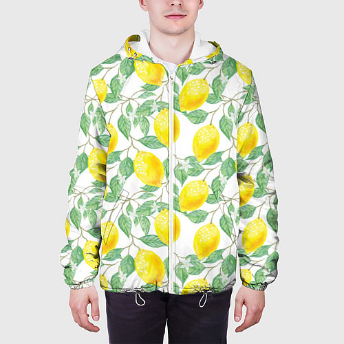 Мужская куртка Лимоны 3d / 3D-Белый – фото 3