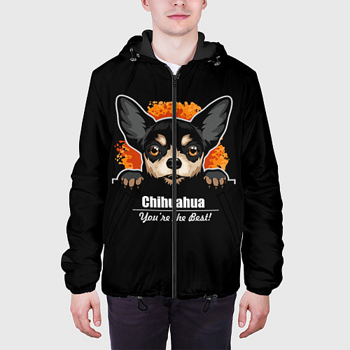 Мужская куртка Чихуахуа Chihuahua / 3D-Черный – фото 3