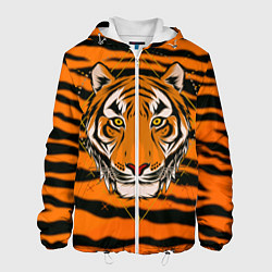 Мужская куртка Тигр настоящий хищник