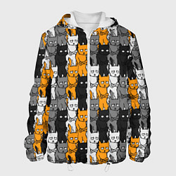 Куртка с капюшоном мужская Злой Кот мем, цвет: 3D-белый