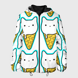 Куртка с капюшоном мужская Гигантские коты мороженое, цвет: 3D-черный