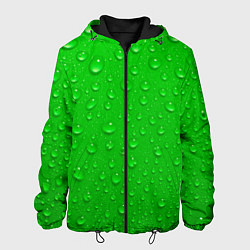 Куртка с капюшоном мужская Зеленый фон с росой, цвет: 3D-черный