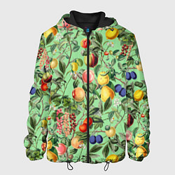 Куртка с капюшоном мужская Летнее Ассорти Фруктов, цвет: 3D-черный