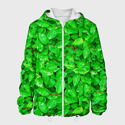 Куртка с капюшоном мужская Зелёные листья - текстура, цвет: 3D-белый