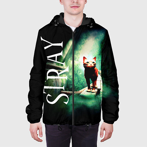 Мужская куртка Заблудившийся Котик STRAY / 3D-Черный – фото 3