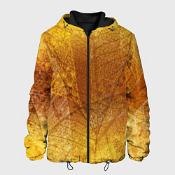 Куртка с капюшоном мужская Осенний узор, цвет: 3D-черный
