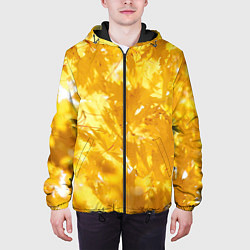 Куртка с капюшоном мужская Золотые листья на ветках, цвет: 3D-черный — фото 2