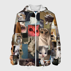 Куртка с капюшоном мужская Мемные котики, цвет: 3D-белый