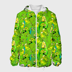 Куртка с капюшоном мужская Зеленые волнистые попугайчики, цвет: 3D-белый