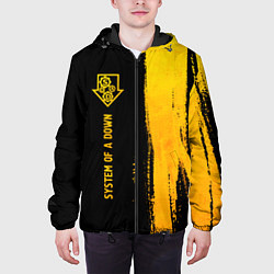 Куртка с капюшоном мужская System of a Down - gold gradient: по-вертикали, цвет: 3D-черный — фото 2