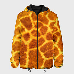 Мужская куртка Шкура жирафа - текстура