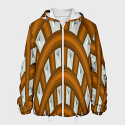 Куртка с капюшоном мужская Деревянные своды, цвет: 3D-белый