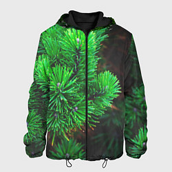 Куртка с капюшоном мужская Зелёный лес России, цвет: 3D-черный