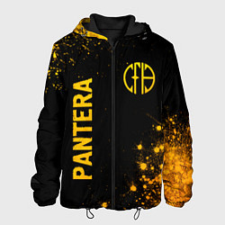 Куртка с капюшоном мужская Pantera - gold gradient вертикально, цвет: 3D-черный