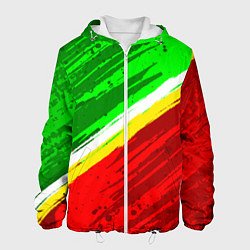 Куртка с капюшоном мужская Расцветка Зеленоградского флага, цвет: 3D-белый