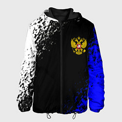 Куртка с капюшоном мужская Герб РФ краски текстура, цвет: 3D-черный