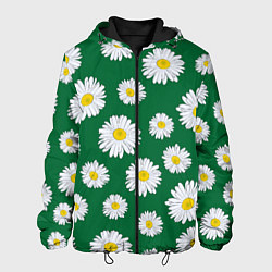 Мужская куртка Ромашки поле из цветов