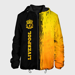 Куртка с капюшоном мужская Liverpool - gold gradient по-вертикали, цвет: 3D-черный