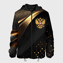 Куртка с капюшоном мужская Золотой герб России на черно-золотой текстуре, цвет: 3D-черный