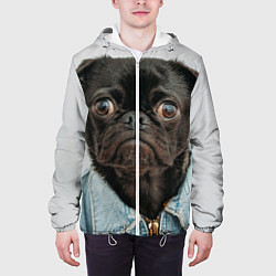 Куртка с капюшоном мужская Мопс в джинсовке - голова групно, цвет: 3D-белый — фото 2