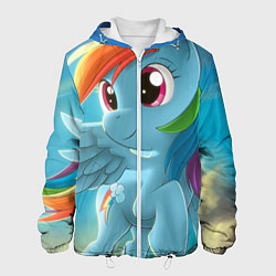 Куртка с капюшоном мужская My littlle pony, цвет: 3D-белый