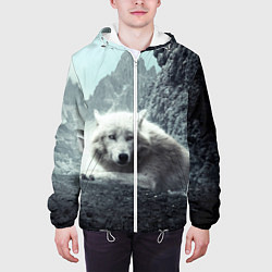 Куртка с капюшоном мужская Волк в горах, цвет: 3D-белый — фото 2